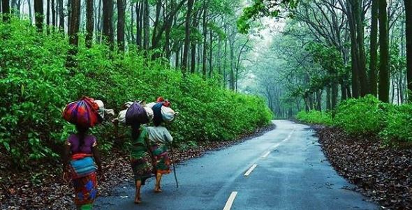 netarhat-jharkhand-tripinfi